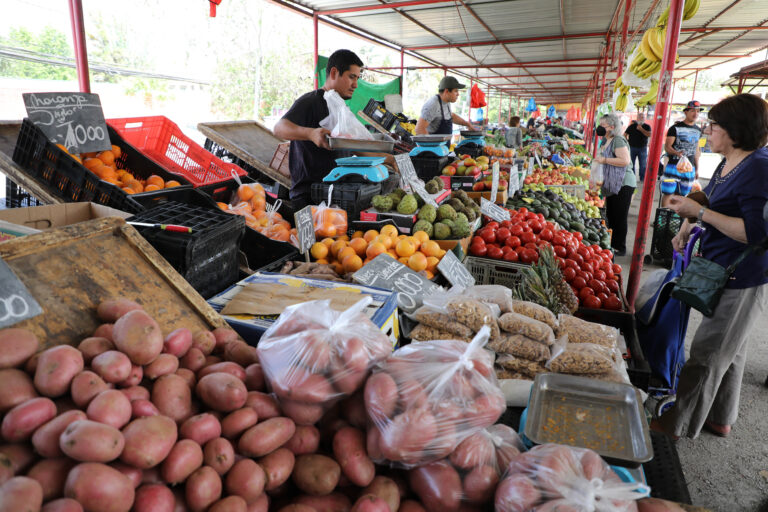 Caja de Feria Económica MARKET 8–10 kg